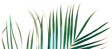 Leaf Right