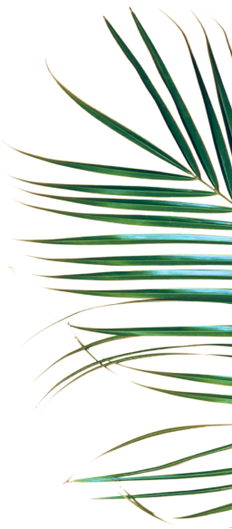 Leaf Right